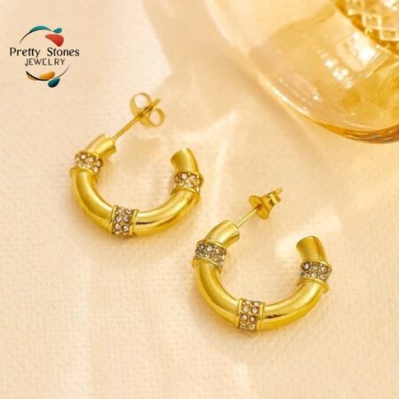 Solid Gold Round Hoop With Embellished Clear Zirconia Stripe Earring