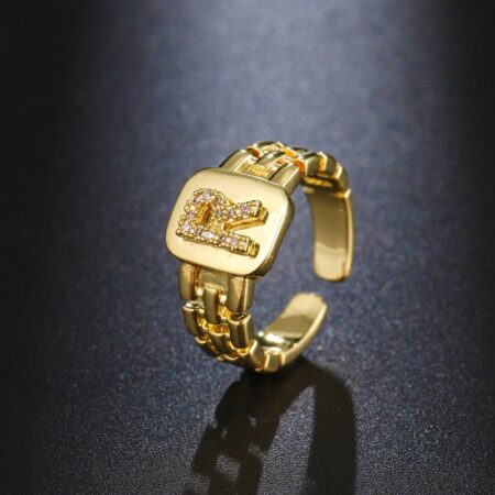 R Link Chain Ring Adjustable
