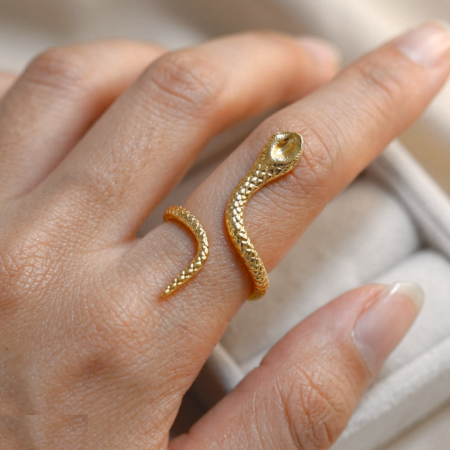 Snack Stainless Steel Ring Adjustable - CRGH